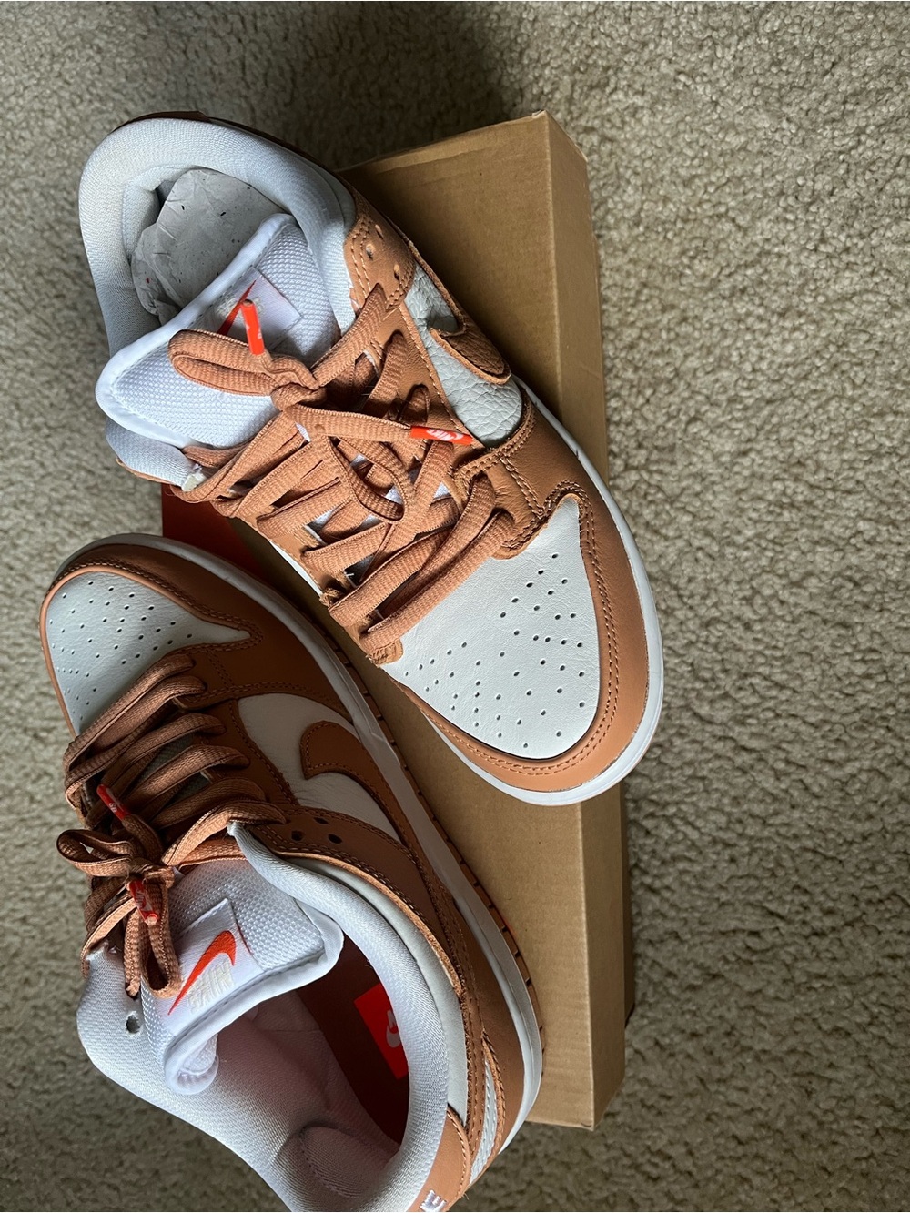 NIKE SB DUNK LOW PRO ISO RARE